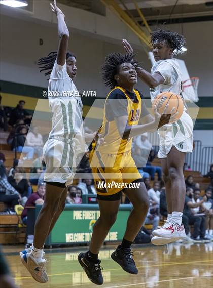 Thumbnail 2 in Lumberton @ Pine Forest photogallery.