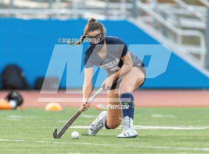 Thumbnail 2 in Natick @ Needham photogallery.