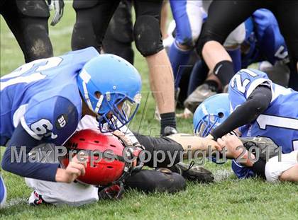 Thumbnail 3 in Clarence @ Kenmore West photogallery.