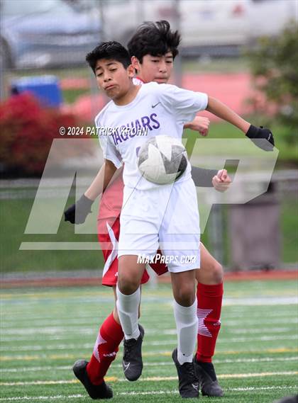 Thumbnail 3 in Newport - Bellevue photogallery.