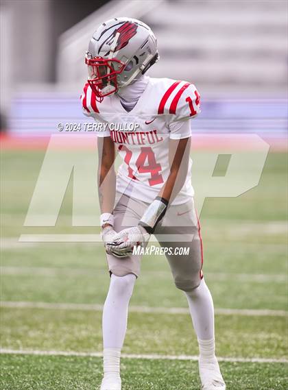 Thumbnail 1 in Bountiful vs. Roy (UHSAA 5A Final) photogallery.