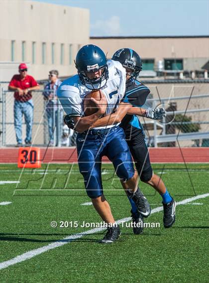 Thumbnail 3 in Palmer Ridge @ Vista Ridge photogallery.