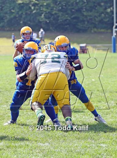 null - Photo 01