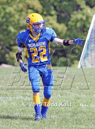 null - Photo 01