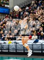Photo from the gallery "Mountain View vs. Timpview (UHSAA 5A Championship)"
