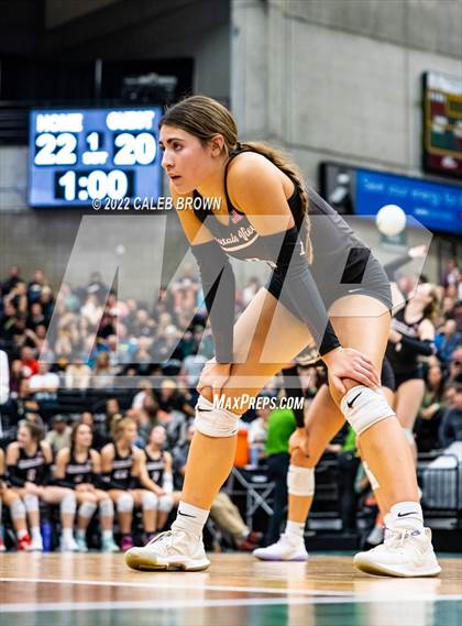 Thumbnail 1 in Mountain View vs. Timpview (UHSAA 5A Championship) photogallery.