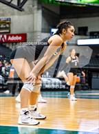 Photo from the gallery "Mountain View vs. Timpview (UHSAA 5A Championship)"