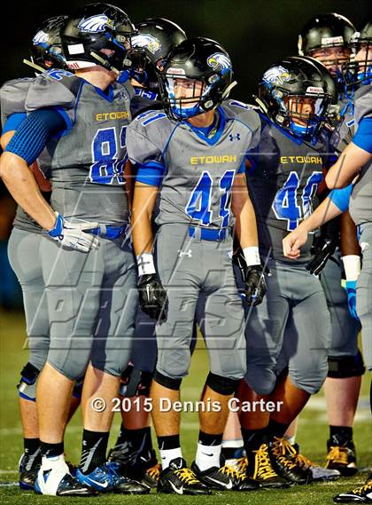 Thumbnail 1 in Woodstock @ Etowah photogallery.