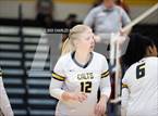 Photo from the gallery "Pine Forest @ Cape Fear"