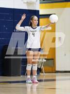 Photo from the gallery "Pine Forest @ Cape Fear"