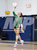 Photo from the gallery "Pine Forest @ Cape Fear"