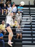 Photo from the gallery "Pine Forest @ Cape Fear"