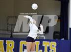 Photo from the gallery "Pine Forest @ Cape Fear"