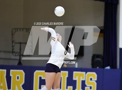 Thumbnail 3 in Pine Forest @ Cape Fear photogallery.