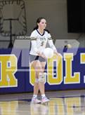 Photo from the gallery "Pine Forest @ Cape Fear"