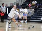 Photo from the gallery "Pine Forest @ Cape Fear"