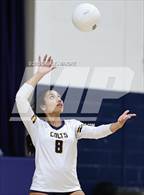 Photo from the gallery "Pine Forest @ Cape Fear"