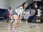 Photo from the gallery "Pine Forest @ Cape Fear"