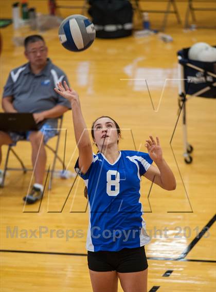 Thumbnail 1 in Coventry vs Darien (2013 Volleyhall Classic) photogallery.