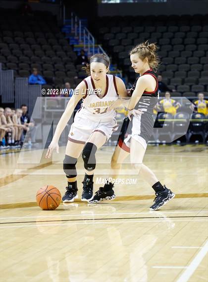 Thumbnail 2 in Holy Cross vs Cooper (9th Region Quarterfinals) photogallery.
