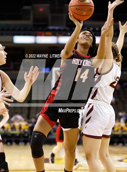 Thumbnail 1 in Holy Cross vs Cooper (9th Region Quarterfinals) photogallery.