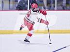 Photo from the gallery "Monarch @ Regis Jesuit"