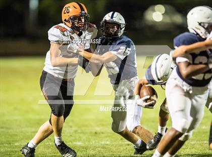 Thumbnail 1 in Fenton @ East Lansing photogallery.