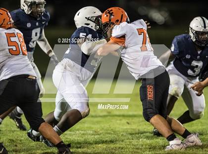 Thumbnail 2 in Fenton @ East Lansing photogallery.