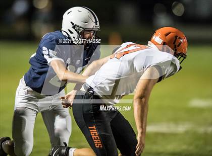 Thumbnail 3 in Fenton @ East Lansing photogallery.