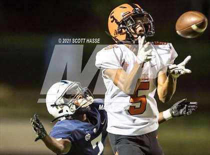 Thumbnail 1 in Fenton @ East Lansing photogallery.