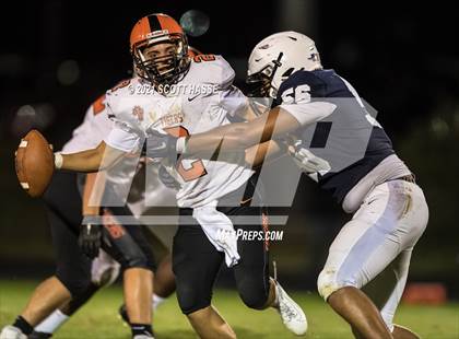 Thumbnail 1 in Fenton @ East Lansing photogallery.