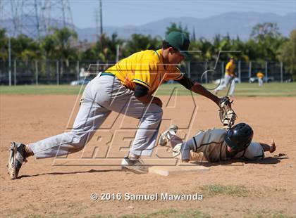 Thumbnail 1 in Narbonne vs. Kennedy (CIF LACS Division 1 Playoff) photogallery.