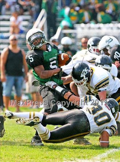 Thumbnail 2 in Sachem North @ Brentwood photogallery.