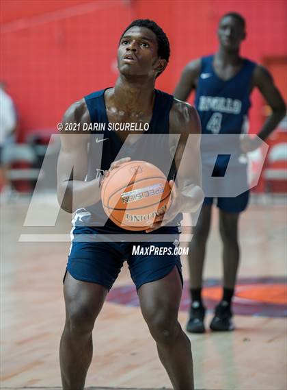 Thumbnail 1 in Apollo vs Paradise Honors (Section 7 Arizona Tournament) photogallery.