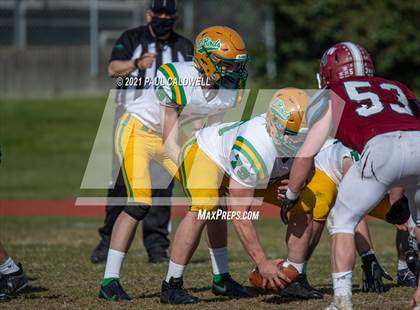 Thumbnail 1 in Tumwater @ WF West photogallery.