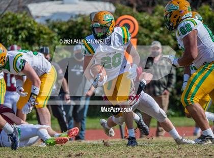 Thumbnail 2 in Tumwater @ WF West photogallery.