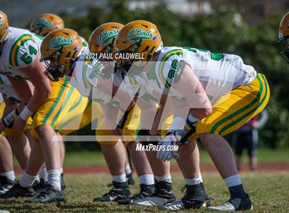 Thumbnail 1 in Tumwater @ WF West photogallery.