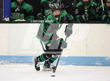 Thumbnail 2 in Novi @ Houghton photogallery.