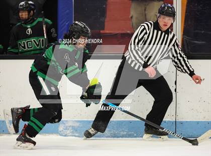 Thumbnail 1 in Novi @ Houghton photogallery.