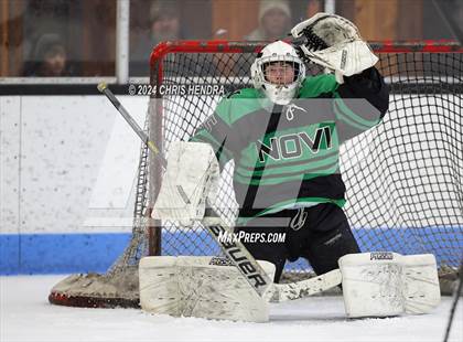 Thumbnail 2 in Novi @ Houghton photogallery.