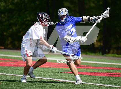 Thumbnail 2 in Glastonbury @ New Canaan photogallery.