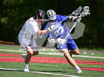 Thumbnail 3 in Glastonbury @ New Canaan photogallery.