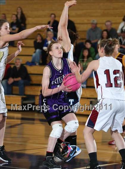 Thumbnail 2 in CO Coaches of Girls Sports 3A All-State photogallery.