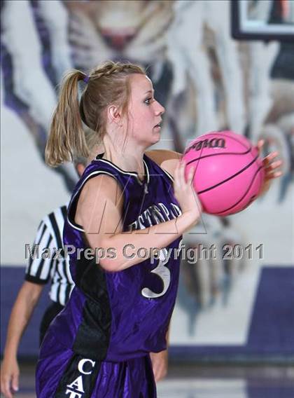 Thumbnail 1 in CO Coaches of Girls Sports 3A All-State photogallery.