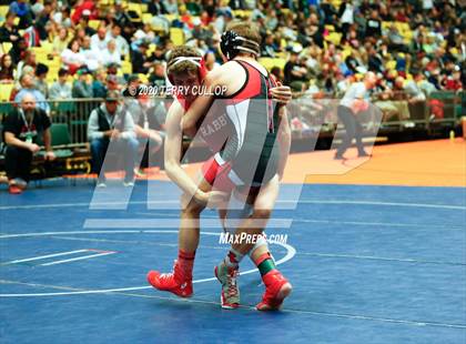 Thumbnail 1 in UHSAA 3A Championships photogallery.