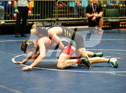 Thumbnail 1 in UHSAA 3A Championships photogallery.
