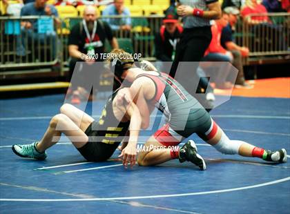 Thumbnail 1 in UHSAA 3A Championships photogallery.