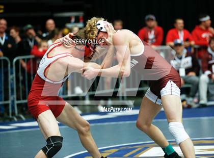 Thumbnail 1 in UHSAA 3A Championships photogallery.