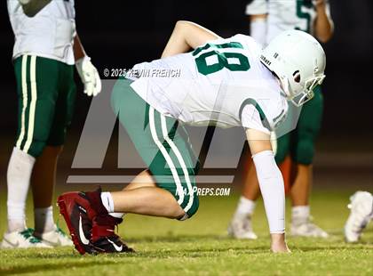 Thumbnail 1 in FR: Horizon @ Cactus photogallery.