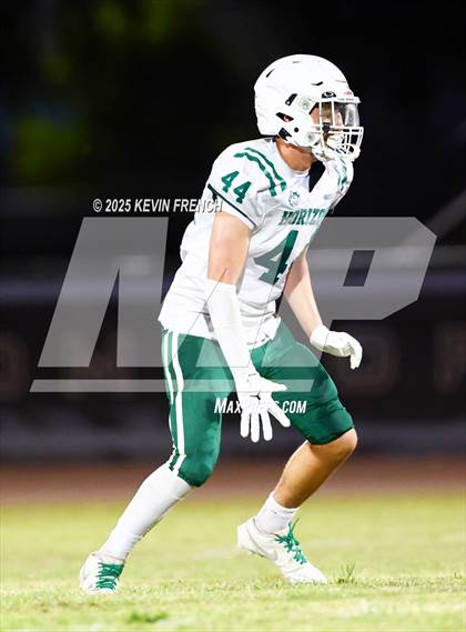 Thumbnail 3 in FR: Horizon @ Cactus photogallery.